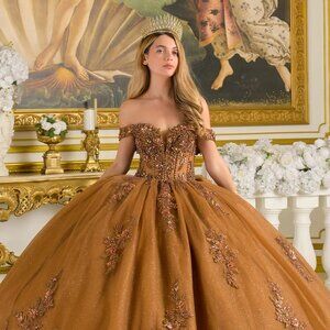 New Brown Beaded Quinceanera Tulle Dress w/ Layered Skirt & Back Bow GL3811